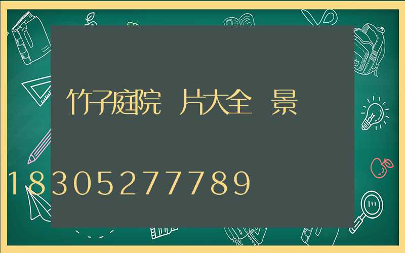 竹子庭院圖片大全 景觀